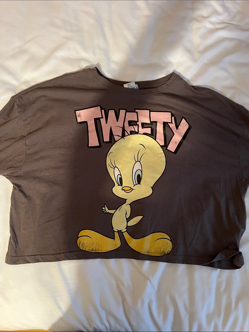 Tweety Graphic Crop Tee - Pink & Yellow on Brown - Kids